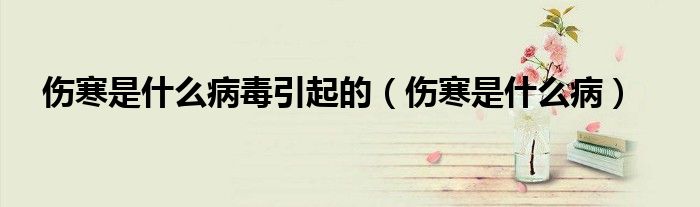 伤寒是什么病毒引起的（伤寒是什么病）