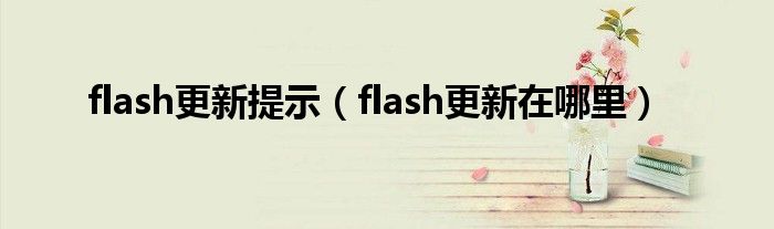 flash更新提示（flash更新在哪里）