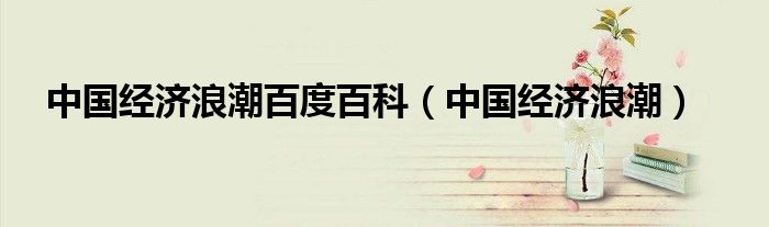 中国经济浪潮百度百科（中国经济浪潮）
