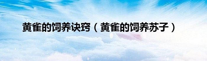黄雀的饲养诀窍（黄雀的饲养苏子）