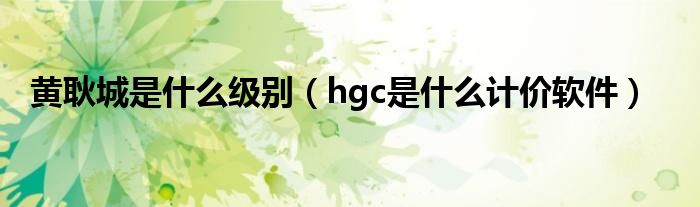 黄耿城是什么级别（hgc是什么计价软件）