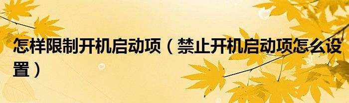 怎样限制开机启动项（禁止开机启动项怎么设置）
