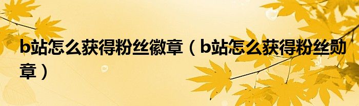 b站怎么获得粉丝徽章（b站怎么获得粉丝勋章）