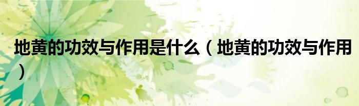 地黄的功效与作用是什么（地黄的功效与作用）