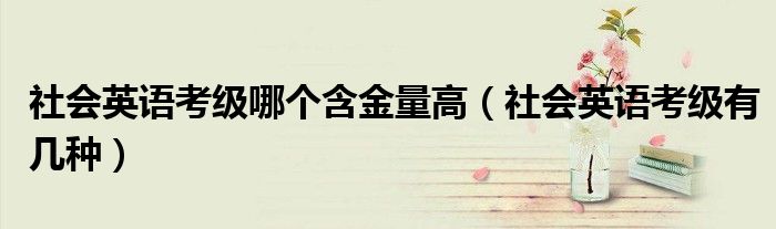 社会英语考级哪个含金量高（社会英语考级有几种）