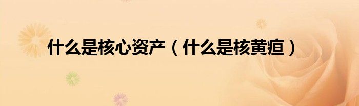 什么是核心资产（什么是核黄疸）