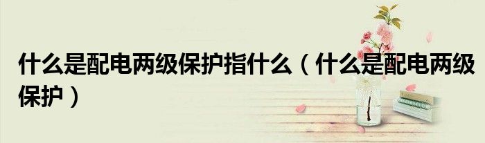 什么是配电两级保护指什么（什么是配电两级保护）