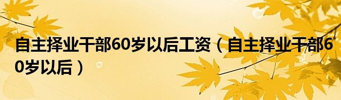 自主择业干部60岁以后工资（自主择业干部60岁以后）