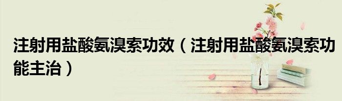 注射用盐酸氨溴索功效（注射用盐酸氨溴索功能主治）