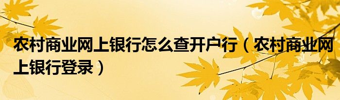 农村商业网上银行怎么查开户行（农村商业网上银行登录）