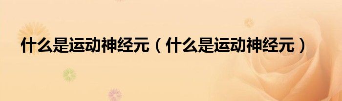 什么是运动神经元（什么是运动神经元）