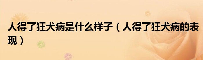 人得了狂犬病是什么样子（人得了狂犬病的表现）