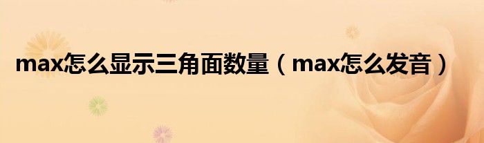 max怎么显示三角面数量（max怎么发音）