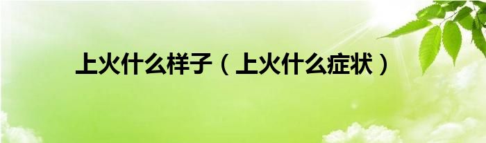 上火什么样子（上火什么症状）