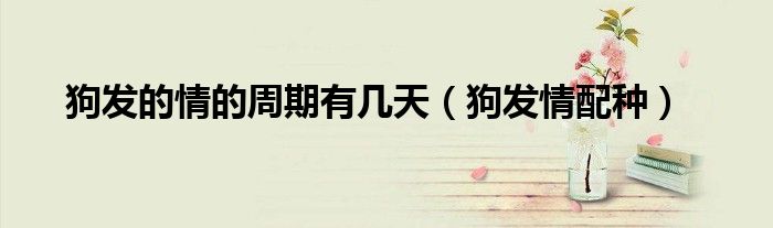 狗发的情的周期有几天（狗发情配种）