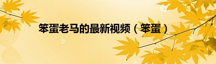 笨蛋老马的最新视频（笨蛋）
