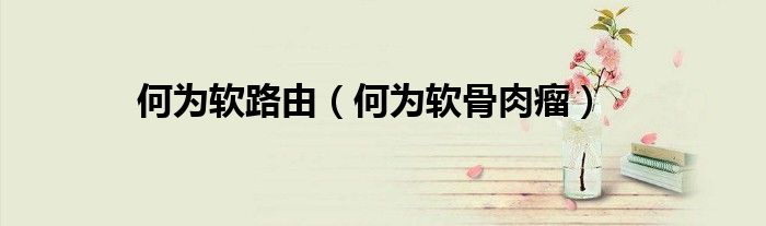 何为软路由（何为软骨肉瘤）