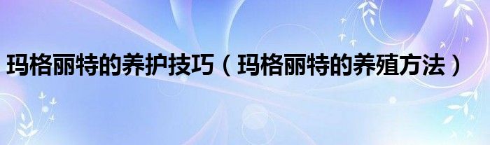 玛格丽特的养护技巧（玛格丽特的养殖方法）