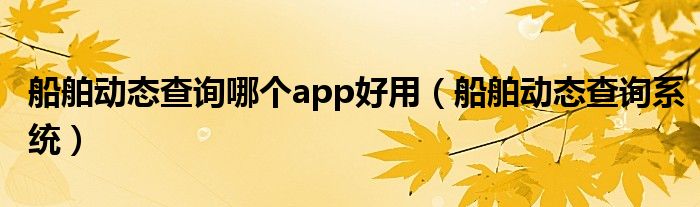 船舶动态查询哪个app好用（船舶动态查询系统）