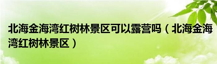 北海金海湾红树林景区可以露营吗（北海金海湾红树林景区）