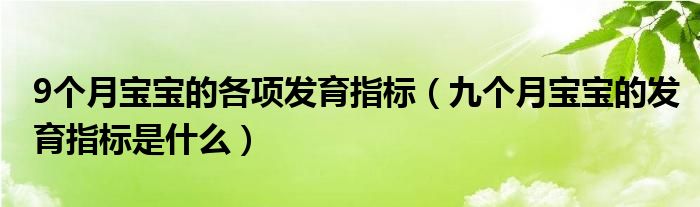 9个月宝宝的各项发育指标（九个月宝宝的发育指标是什么）