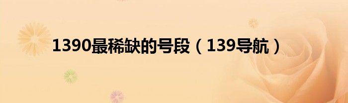 1390最稀缺的号段（139导航）