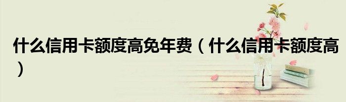 什么信用卡额度高免年费（什么信用卡额度高）