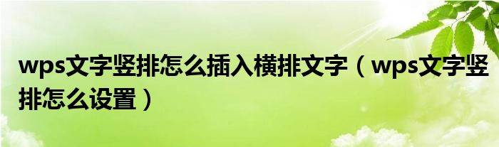 wps文字竖排怎么插入横排文字（wps文字竖排怎么设置）
