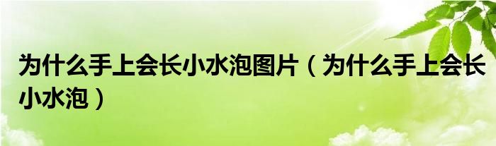 为什么手上会长小水泡图片（为什么手上会长小水泡）