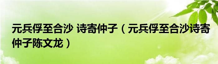元兵俘至合沙 诗寄仲子（元兵俘至合沙诗寄仲子陈文龙）