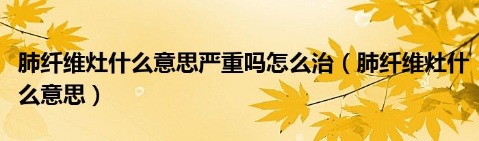 肺纤维灶什么意思严重吗怎么治（肺纤维灶什么意思）