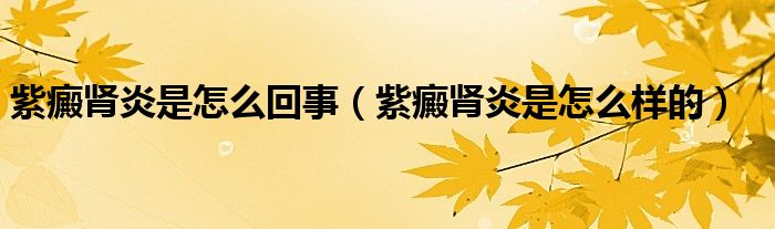 紫癜肾炎是怎么回事（紫癜肾炎是怎么样的）