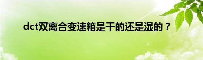 dct双离合变速箱是干的还是湿的？