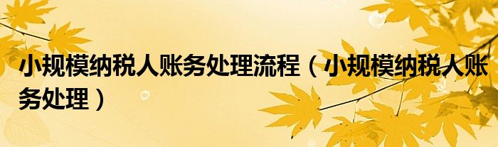 小规模纳税人账务处理流程（小规模纳税人账务处理）