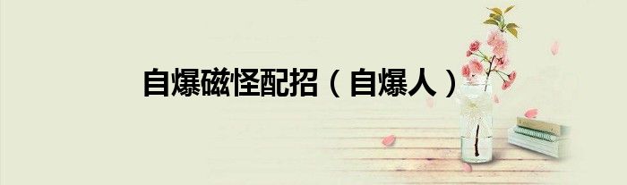 自爆磁怪配招（自爆人）
