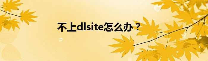 不上dlsite怎么办？