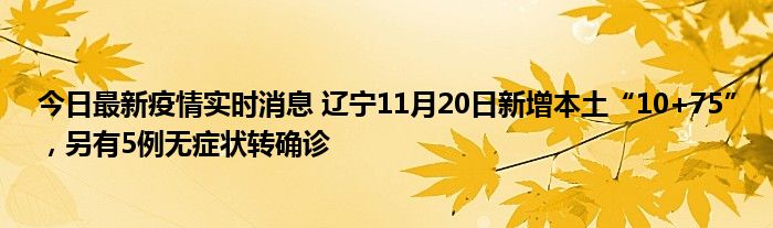 今日最新疫情实时消息 辽宁11月20日新增本土“10+75”，另有5例无症状转确诊