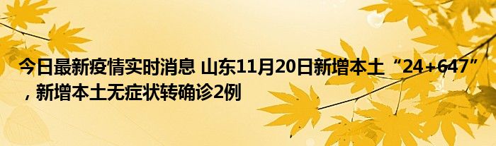 今日最新疫情实时消息 山东11月20日新增本土“24+647”，新增本土无症状转确诊2例