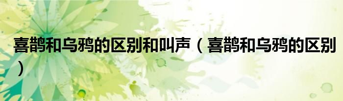 喜鹊和乌鸦的区别和叫声（喜鹊和乌鸦的区别）