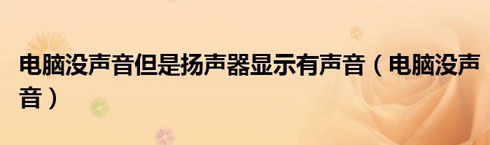 电脑没声音但是扬声器显示有声音（电脑没声音）