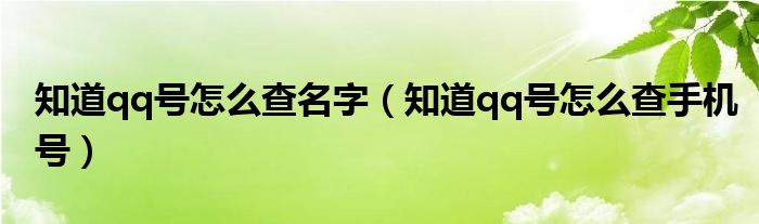 知道qq号怎么查名字（知道qq号怎么查手机号）