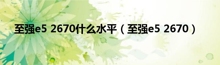 至强e5 2670什么水平（至强e5 2670）