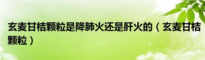玄麦甘桔颗粒是降肺火还是肝火的（玄麦甘桔颗粒）
