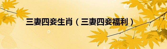 三妻四妾生肖（三妻四妾福利）
