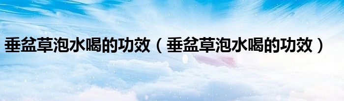 垂盆草泡水喝的功效（垂盆草泡水喝的功效）