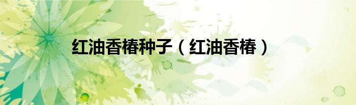 红油香椿种子（红油香椿）