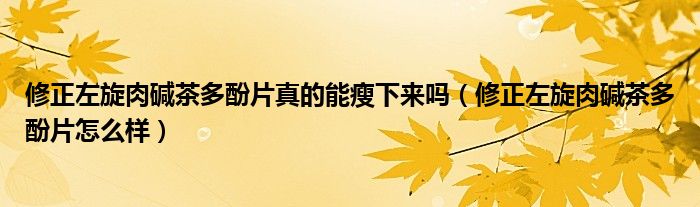 修正左旋肉碱茶多酚片真的能瘦下来吗（修正左旋肉碱茶多酚片怎么样）