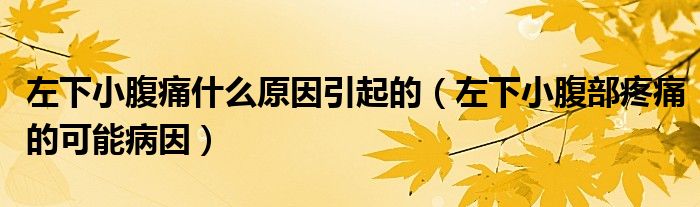 左下小腹痛什么原因引起的（左下小腹部疼痛的可能病因）