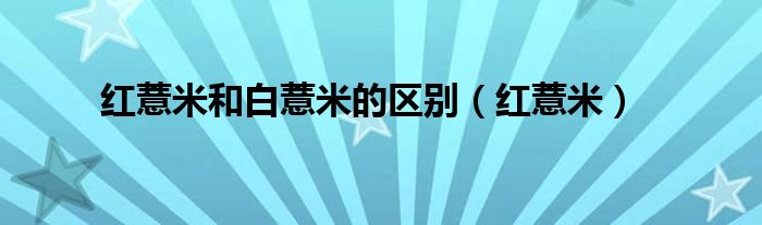 红薏米和白薏米的区别（红薏米）