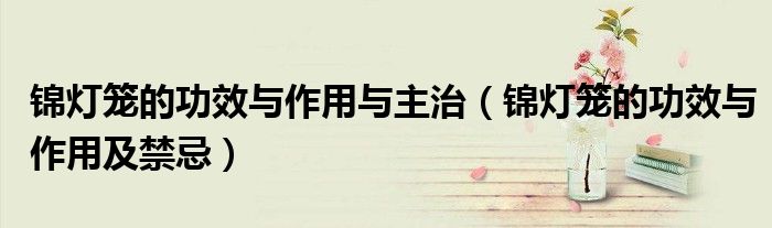 锦灯笼的功效与作用与主治（锦灯笼的功效与作用及禁忌）